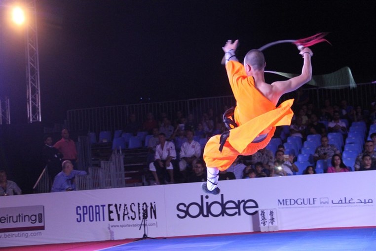 Martial Arts Festival